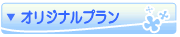オリジナルプラン
