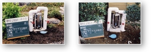 土、植込みの場合 土、植込みの場合