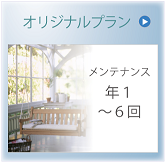 オリジナルプラン