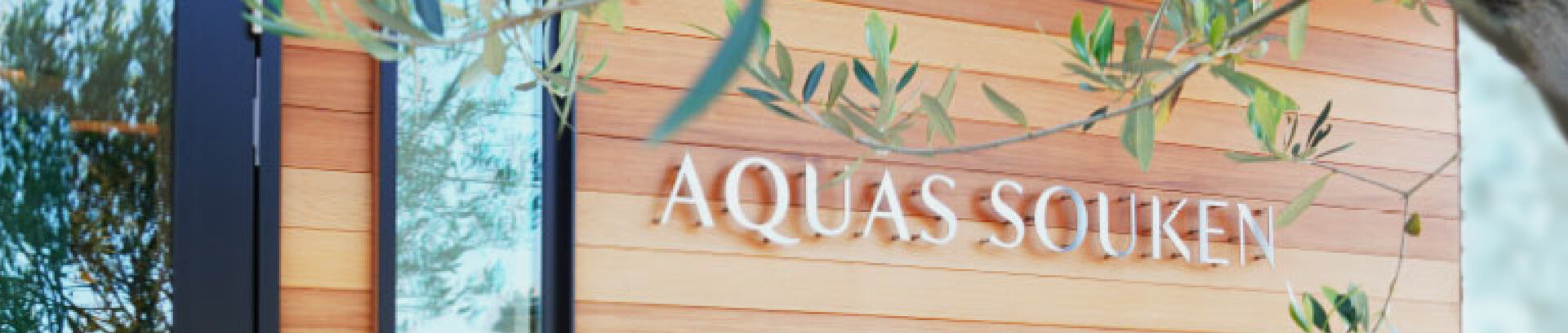 セントラル浄水器アクアス５／会社概要