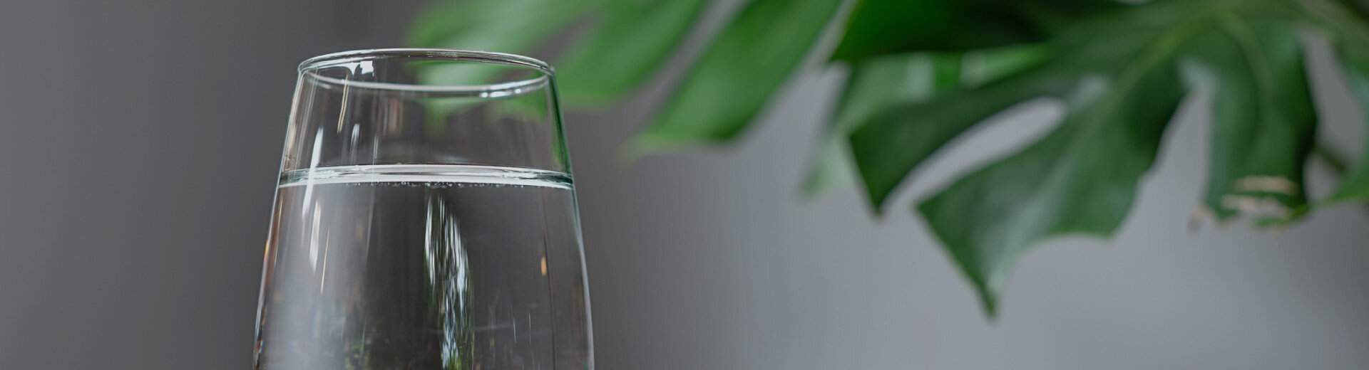 セントラル浄水器アクアス５/料金プラン