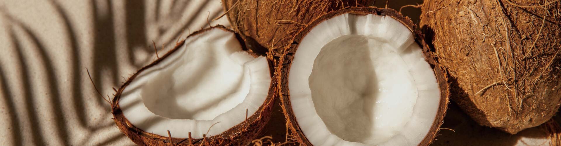 セントラル浄水器アクアス５／天然素材の活性炭