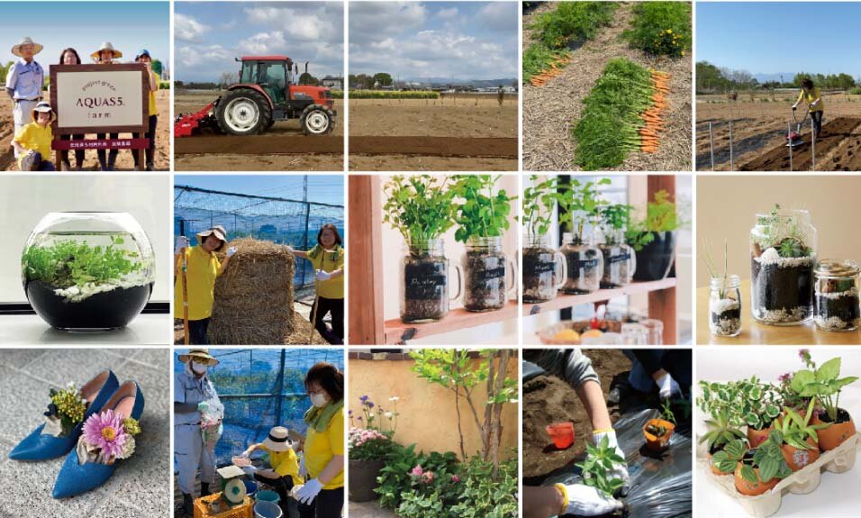 ろ材活用実践風景