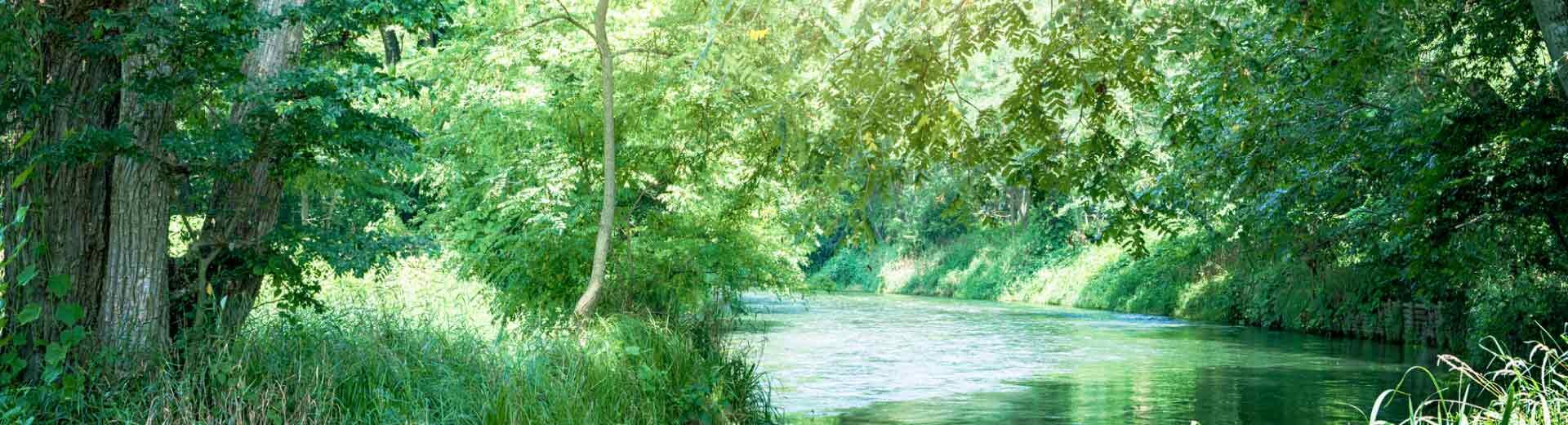 やさしさが自然と続く