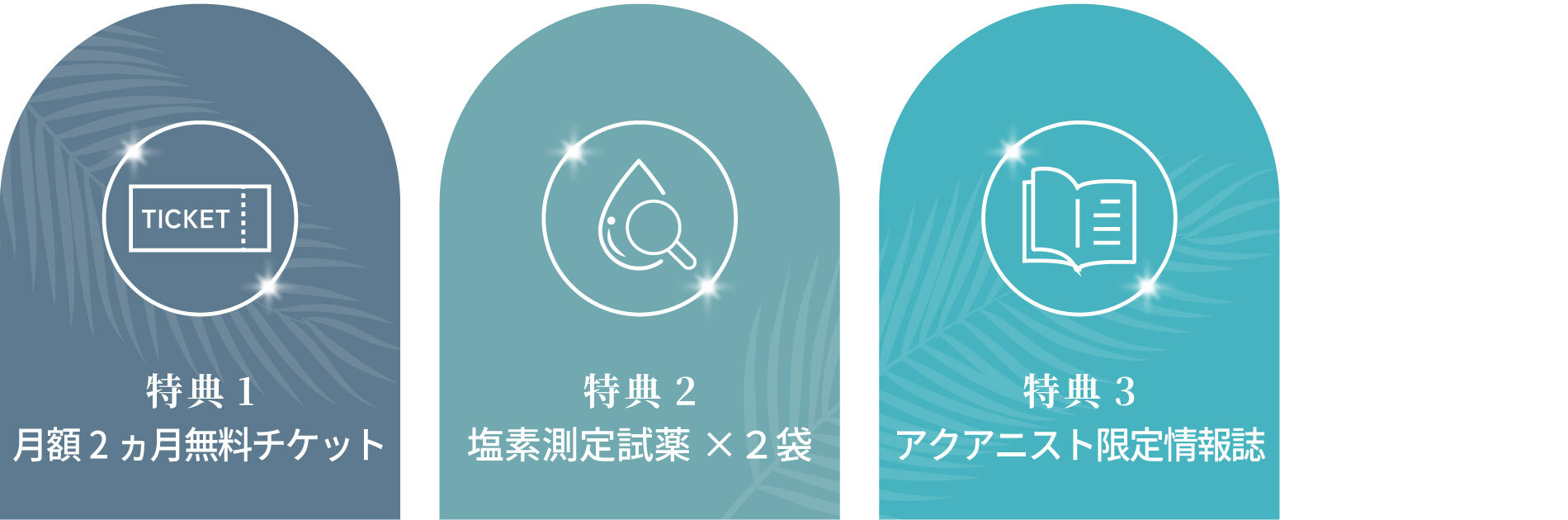 ３つの特典を差し上げます