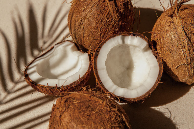 セントラル浄水器アクアス５／天然素材の活性炭