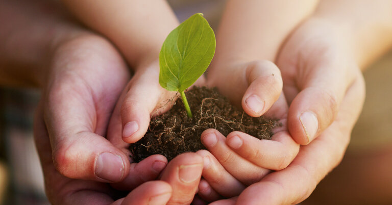 すべて自然由来