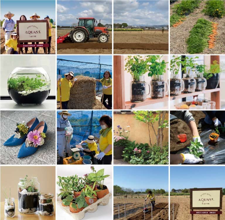 ろ材活用実践風景