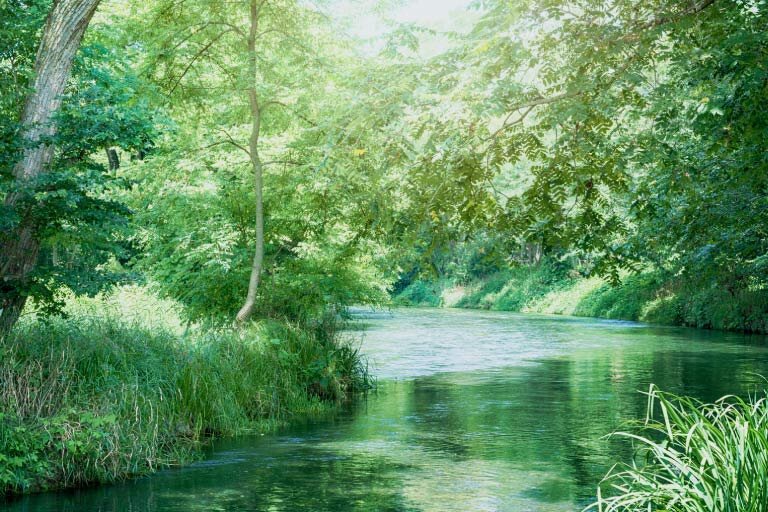 やさしさが自然と続く