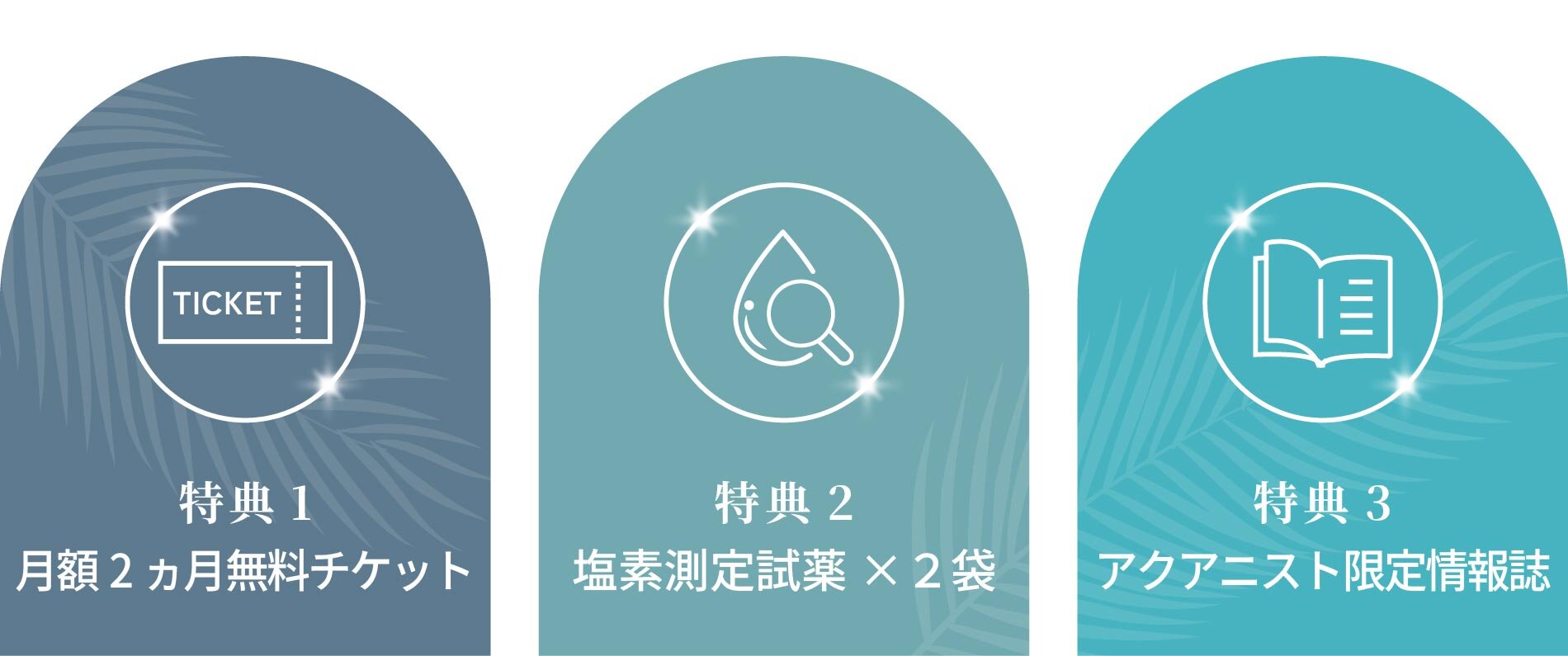 ３つの特典を差し上げます