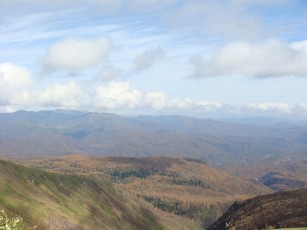 山頂からの景色